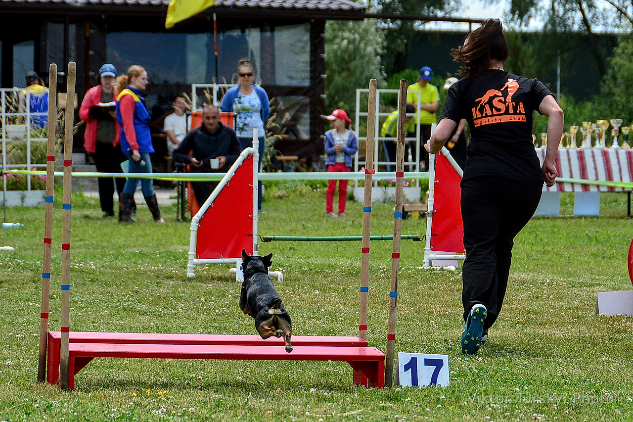 Agility Kyiv — photo 12