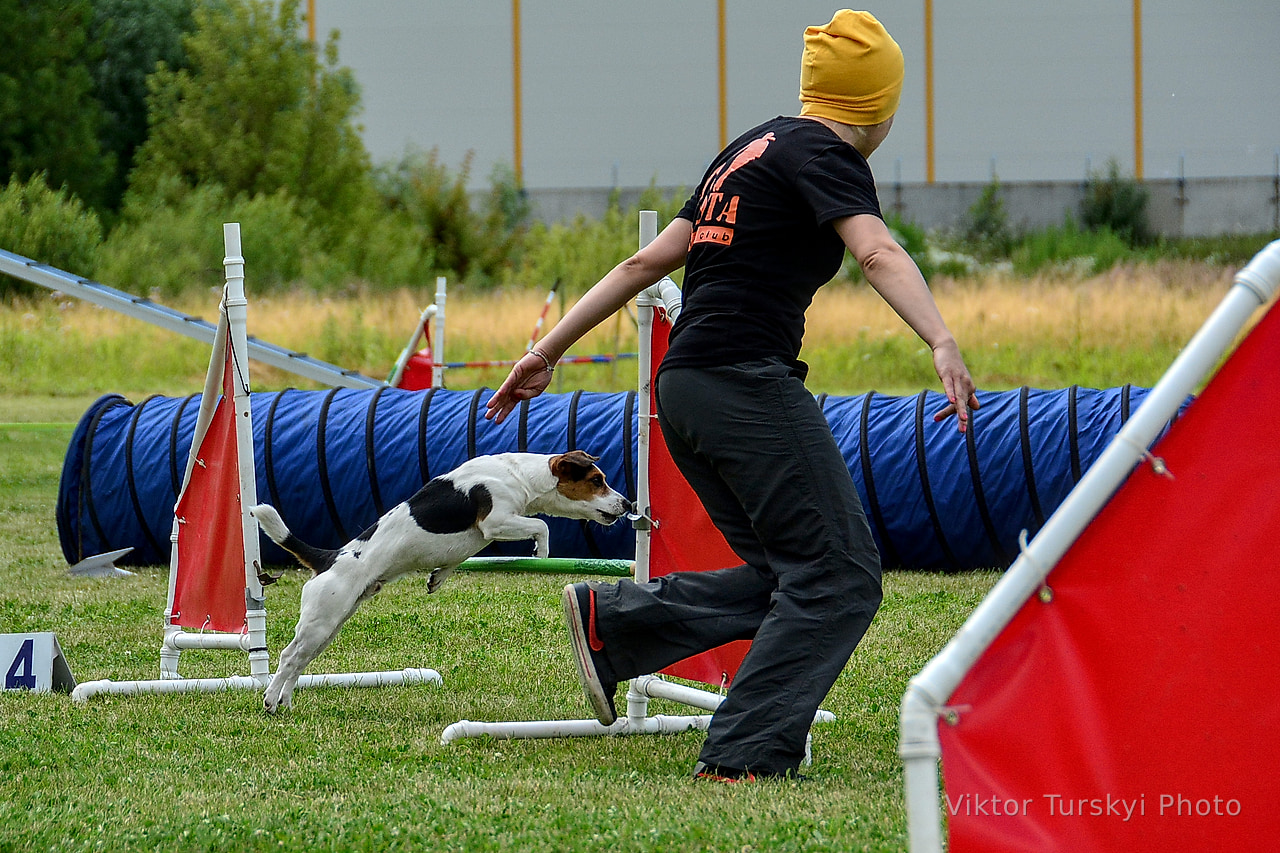 Agility Kyiv — photo 15