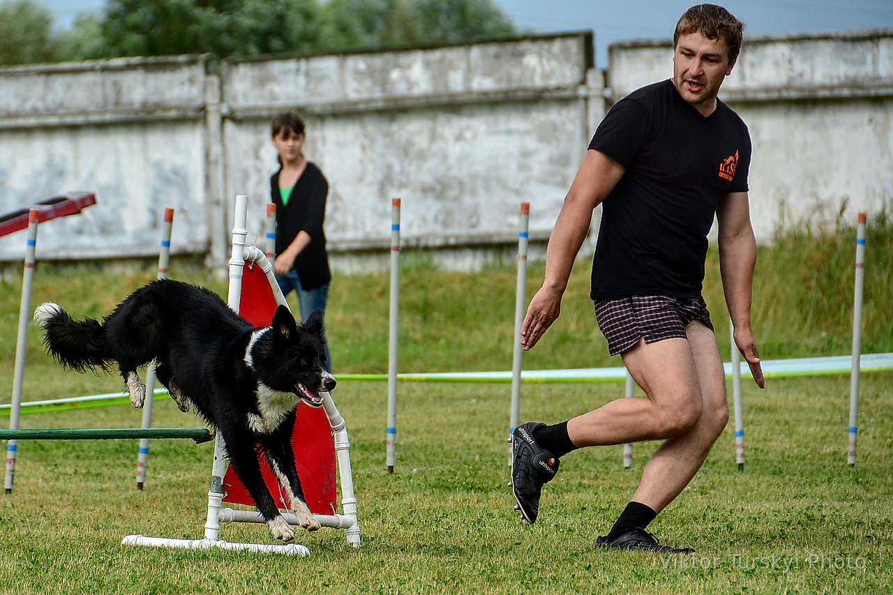 Agility Kyiv — photo 16