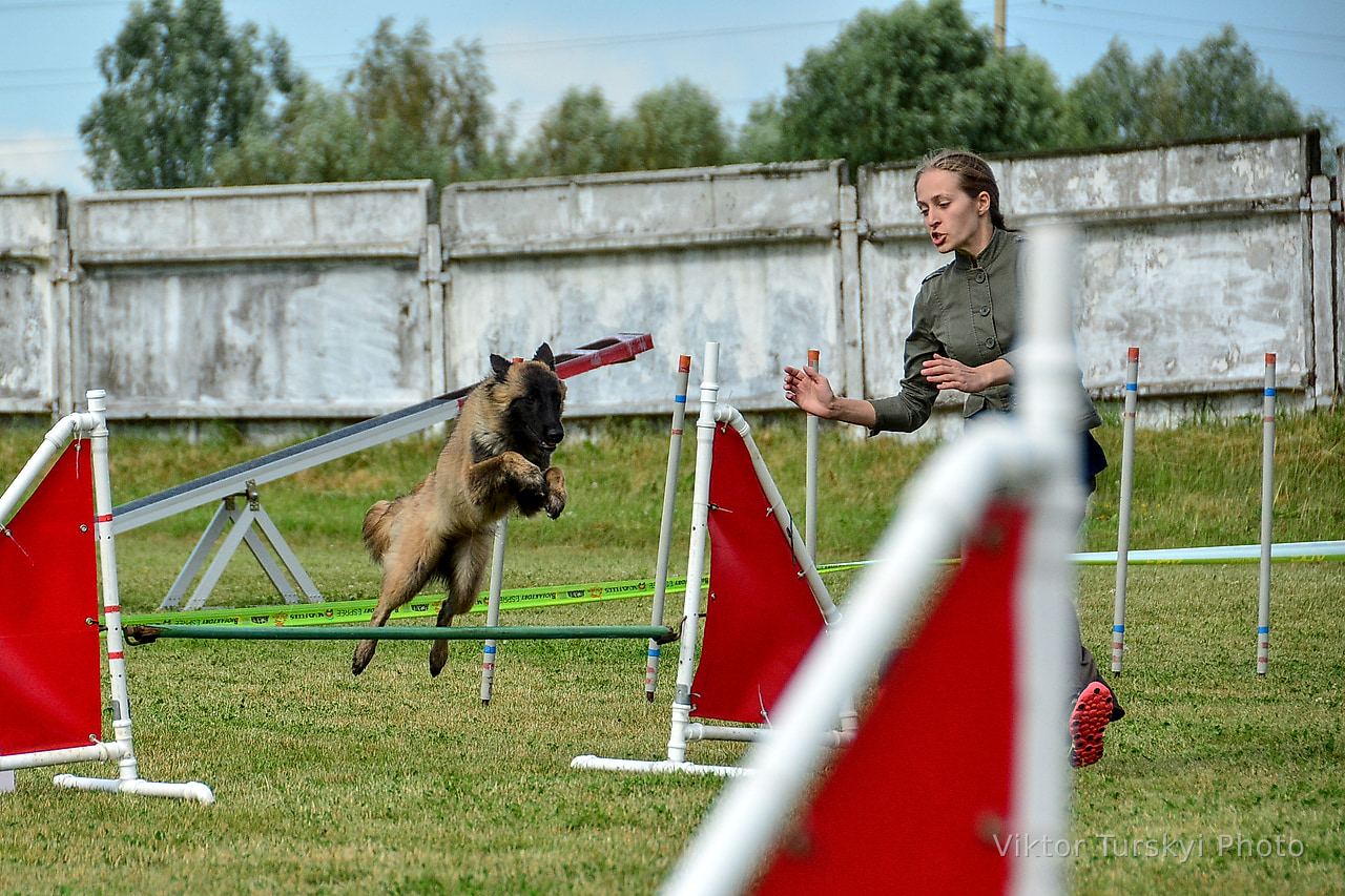 Agility Kyiv — photo 17