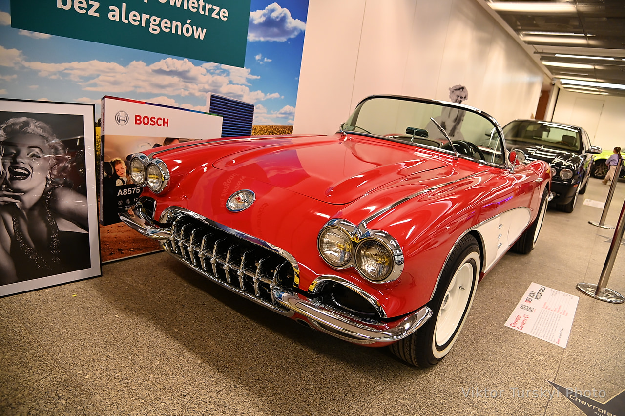 Warsaw Cars Exhibition — photo 21